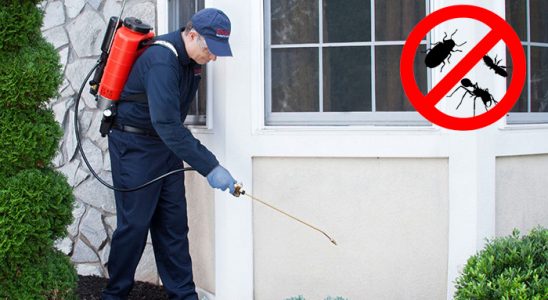 Demirci Hamam Böceği İlaçlama böcek ilaçlama ve haşere kontrolü — ilaclama-tr.com